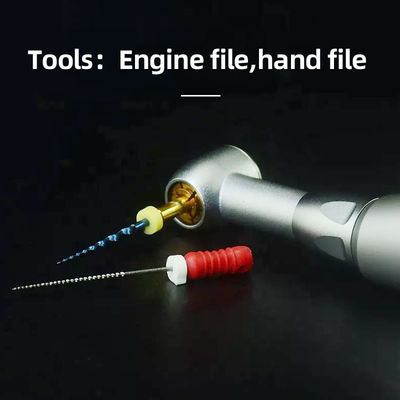 Unidade 2.35mm dental inoxidável de Handpiece com as ferramentas do arquivo da mão da escala de velocidade 000rpm