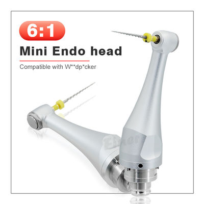 6/1 de cabeça Endodontic dental de Handpiece para o tratamento de canal radicular do motor Endo 4.0N.cm