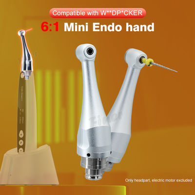 6/1 de cabeça Endodontic dental de Handpiece para o tratamento de canal radicular do motor Endo 4.0N.cm