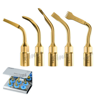 25KHz Piezo Bone Surgery Dicas para Sinus Lifting Extração de Dentes Cirurgia Periodontal