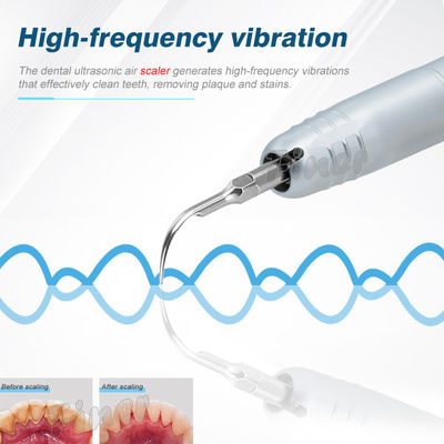 Ultra Sonic 2/4 Holes Dental Air Scaler Máquina de limpeza de dentes
